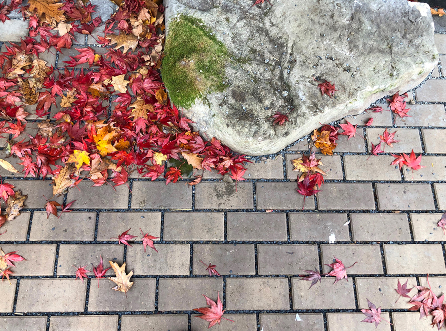 brick patio